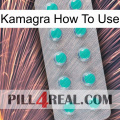 Kamagra How To Use 28